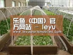环境展示五