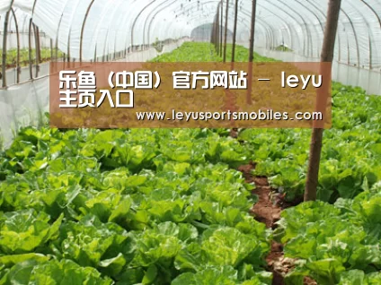 种植基地五