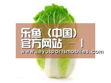 产品名称一