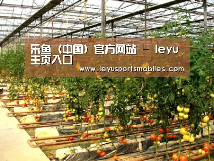 种植基地二(图1)