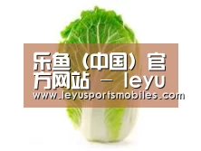 产品名称一(图1) 产品名称一(图1)