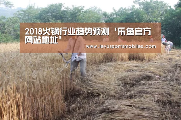 乐鱼极致竞技体验