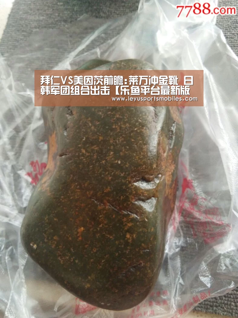 拜仁VS美因茨前瞻:莱万冲金靴 日韩军团组合出击【乐鱼平台最新版本】(图1) 乐鱼极致竞技体验