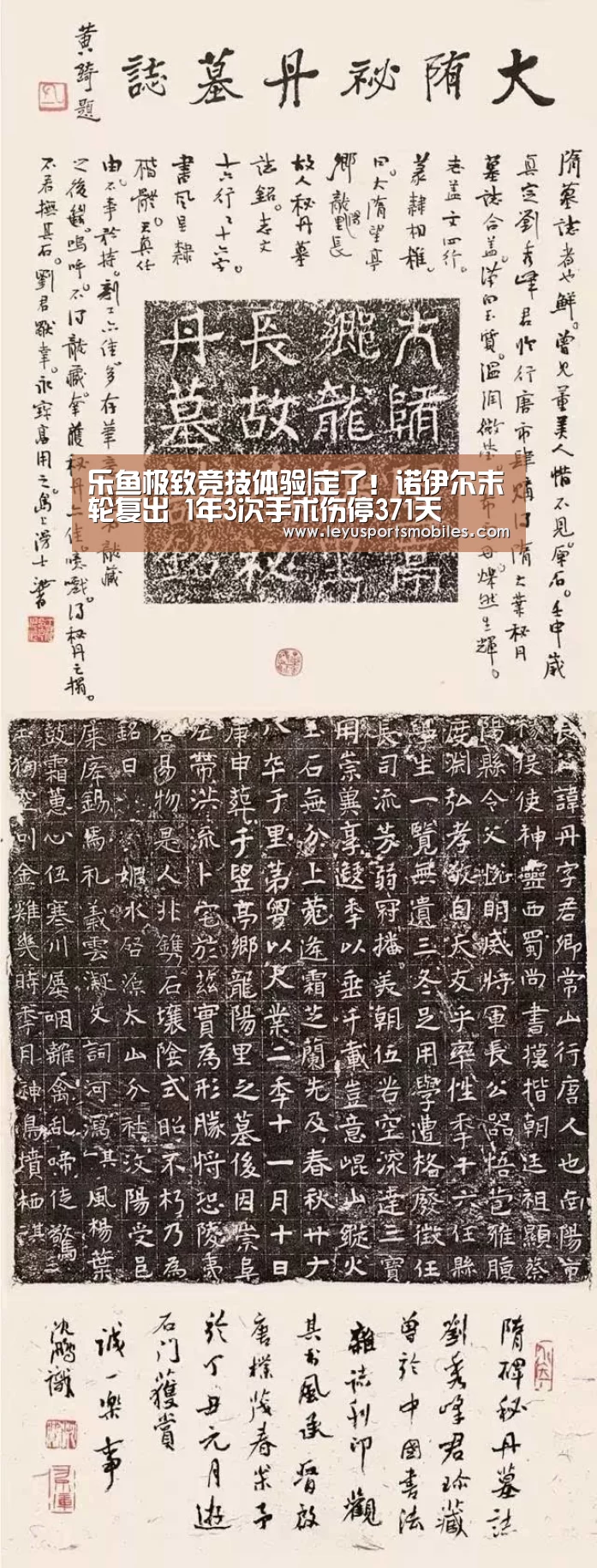 乐鱼极致竞技体验|定了!诺伊尔末轮复出 1年3次手术伤停371天(图1) 乐鱼体育App下载