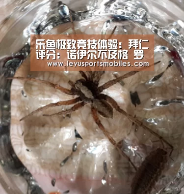 乐鱼平台最新版本